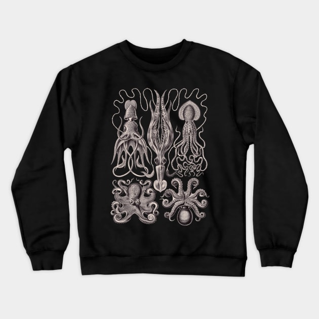 Ernst Haeckel Gamochonia Octopus Lavender Grey Crewneck Sweatshirt by Scientistudio